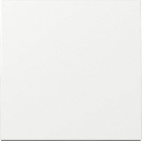 GIRA Wippe Schalter und Taster, rws glz, System 55, 329603 NEU