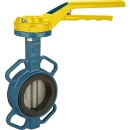 Effebi Absperrklappe ARTEMIS 40 DN 150 NEU