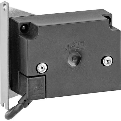 Golling conversion kit from ignition transformer to EBI cpl. NEW