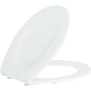 Sanitärtechnik Eisenberg Asiento WC macizo...