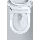 Grohe Dusch-WC Sensia Arena BxHxT: 375x459x600 mm Keramik weiß NEU