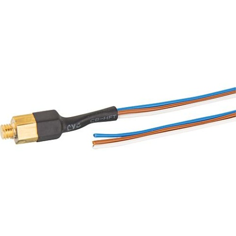 EWM boiler temperature sensor DS1820D suitable for 2.0 NEW