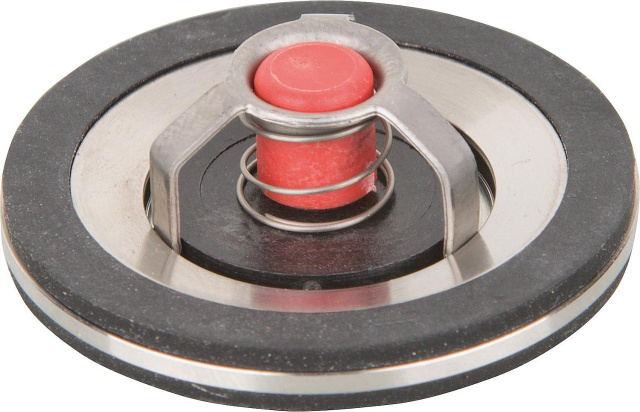 Schwerkraftbremsen TopInset Typ 73 DN20 (3/4"") 73-020-NK-00-00 NEU