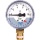 Resideo Pressure Gauge 0-10bar M70AF-A10MR NEW