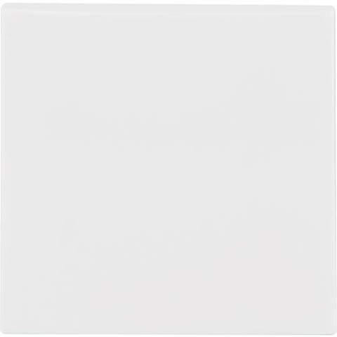 Berker rocker 16208989, S.1 polar white, glossy, 1 piece 23060860 NEW