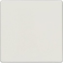 Siemens Wippetral/ elektroweiß 55 mm x 55 mm...