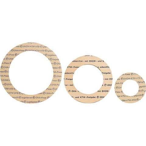 Haas Dichtungen 77 x 127mm DN 65 PN 10/16/40 EINZELN NEU