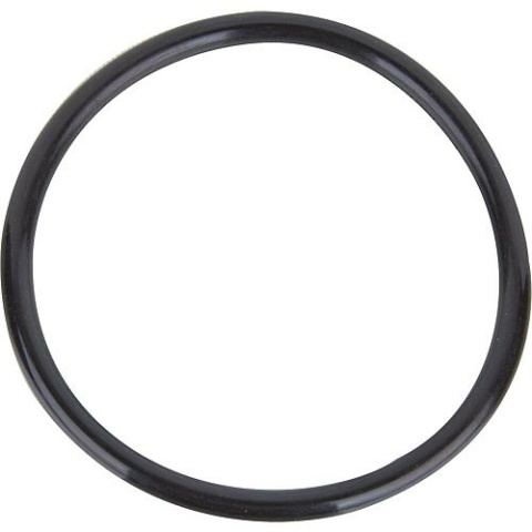 Zehnder O-Ring 95 x 6,8 zu Pumpen E-ZW 13158 NEU