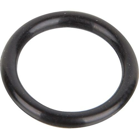O-ring Zehnder do pomp EP/EPA i WX/HWX 12610 NOWOŚĆ