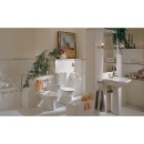 Fischer WC and sanitary fastening S 8 RD 60 WCR 60570 NEW