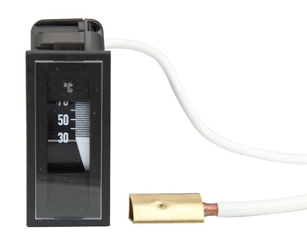 Buderus 7747007979 Temperaturanzeige