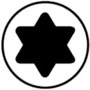 Spax Spenglerschraube A2 Vollgewinde, T-Star Plus 4,5x55mm, VPE 70 Stück NEU