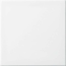 Busch-Jaeger Wippe aws Busch-balance SI 2506-914 NEU