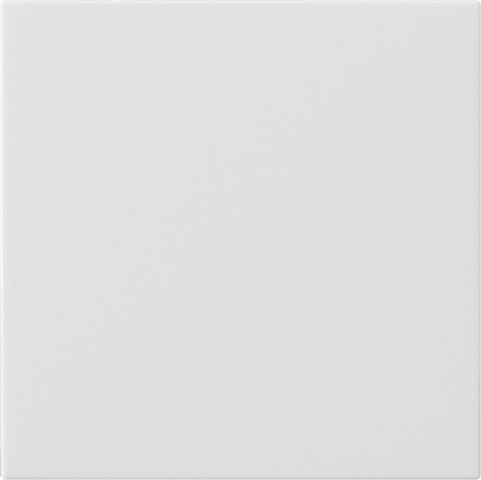 Gira Bedienaufsatz System rws 536003 NEU