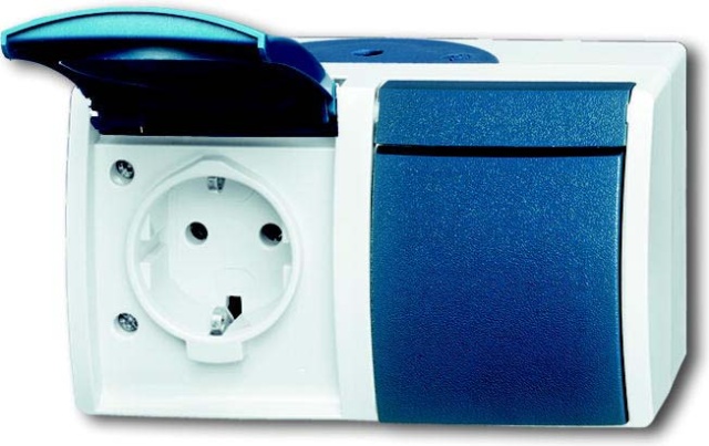 Busch-Jaeger Schuko-Steckdose 2f.gr/bgn waagerecht 20/2 EW-53 NEU