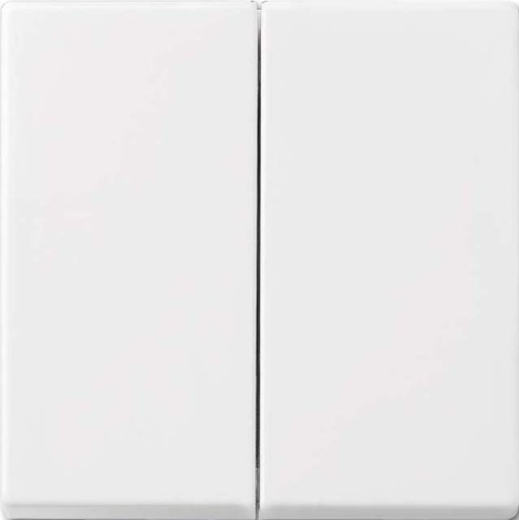 Busch-Jaeger Rocker aws Busch-balance SI 2505-914 NUEVO