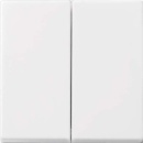 Bilanciere Busch-Jaeger aws Busch-balance SI 2505-914 NUOVO