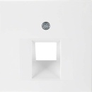 Berker centre plate pws/gl f.UAE box 14078989 NEW