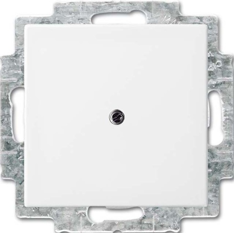 Busch-Jaeger Blindplaat alpine wit 2538-914 NIEUW