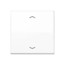 Jung control button standard symbols arrows AS 1700 P WW NEW