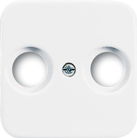 Busch-Jaeger Central plate aws f.antenna box 2hole 2531-214 NEW