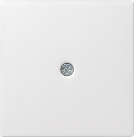 Gira Insert central rws-gl pour ligne à cordon 027403 NOUVEAU