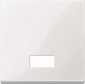 Merten rocker symbol window pwsgl rectangular 432819 NOWOSC