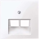 Merten central plate aws/gl for UAE insert 2f. 296125 NEW