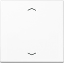 Jung Steuertaste Standard Symbole Pfeile A 1700 P WW NEU