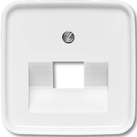 Busch-Jaeger Central plate aws f.UAE-connectiondo.1f 1803-214 NOWOSC