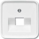 Busch-Jaeger Central plate aws f.UAE-connectiondo.1f 1803-214 NOWOSC