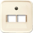 Busch-Jaeger Zentralscheibe ws f.UAE-Anschlussdo.2f...