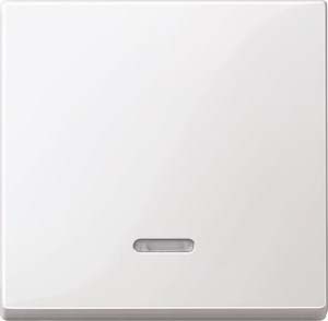 Merten rocker contr.window pws/gl f.switch.push-button insert 436019 NEW