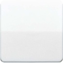 Jung rocker aws for push-button CD 590 WW NEW