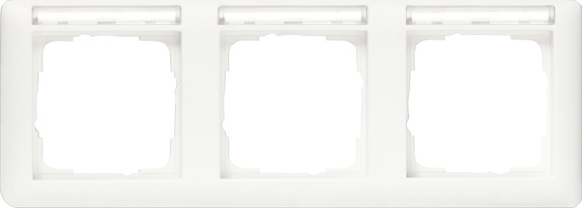 Gira frame 3f.rws-gl with labelling field 109303 NEW