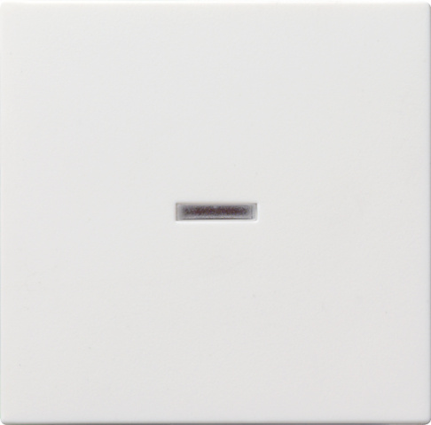 Gira Wippe rws mit Kontroll-Fenster 029027 NEU