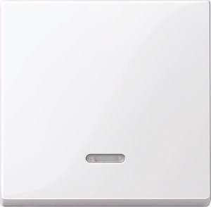 Merten rocker contr.window aws/gl f.switch.push-button insert 436025 NEW