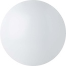 IDV (Megaman) LED-Wand-/Deckenleuchte 3000/4000K MM77121 NEU