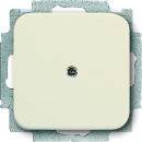 Busch-Jaeger Blind central disc ws with support ring...