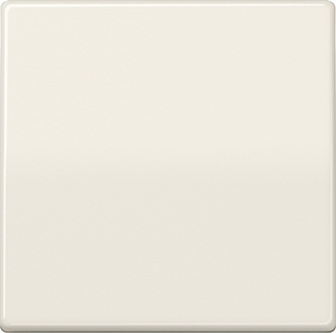 Jung Wippe ws für Taster AS 591 NEU