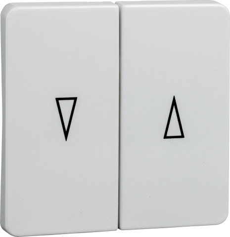 Elso rocker rw f. Blind push-button 213804 NEW