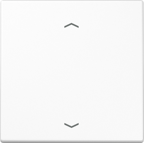 Jung Steuertaste Standard Symbole Pfeile LS 1700 P WW NEU