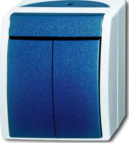 Busch-Jaeger Serienschalter AP 2601/5 W-53 NEU