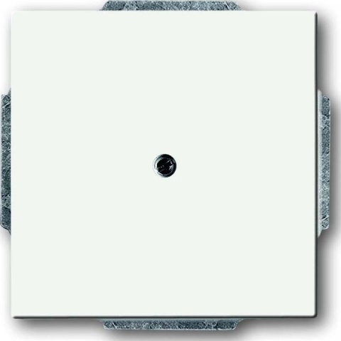 Busch-Jaeger Piastra centrale c/cieco, con anello di supporto 1742-884 NUOVO