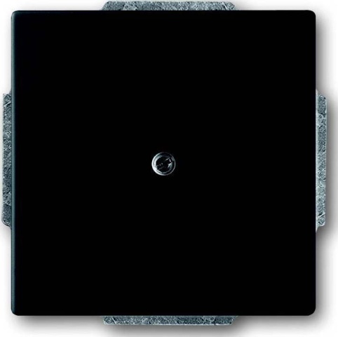 Busch-Jaeger Disque central noir avec cache et anneau de support 1742-885 NOUVEAU