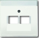 Busch-Jaeger Disque central stws mt p.UAE-Anschlussdo.2f...