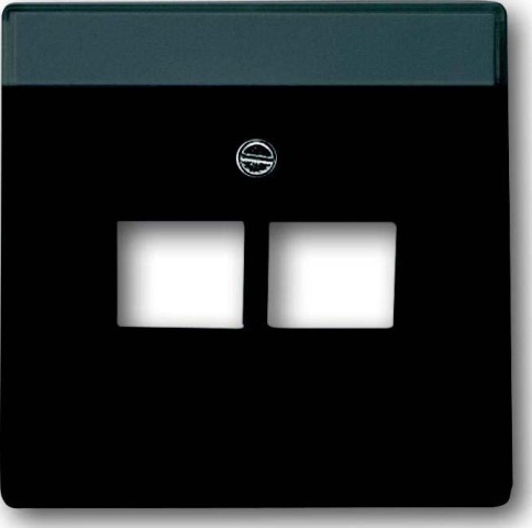 Busch-Jaeger Piastra centrale anth f.UAE connessione do.2f 1803-02-81 NUOVO