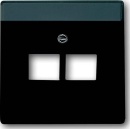 Busch-Jaeger Central plate anth f.UAE connection do.2f...