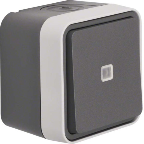 Commutatore Berker grigio chiaro 31763505 NUOVO