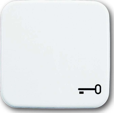 Busch-Jaeger Rocker aws with symbol key 2520 TR-214 NEW